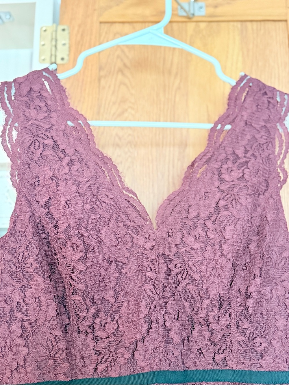 LOFT Burgundh Lace V-Neck Mini Dress